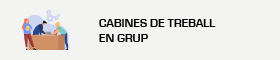 S'obrirà una nova finestra. Cabines de treball en grup